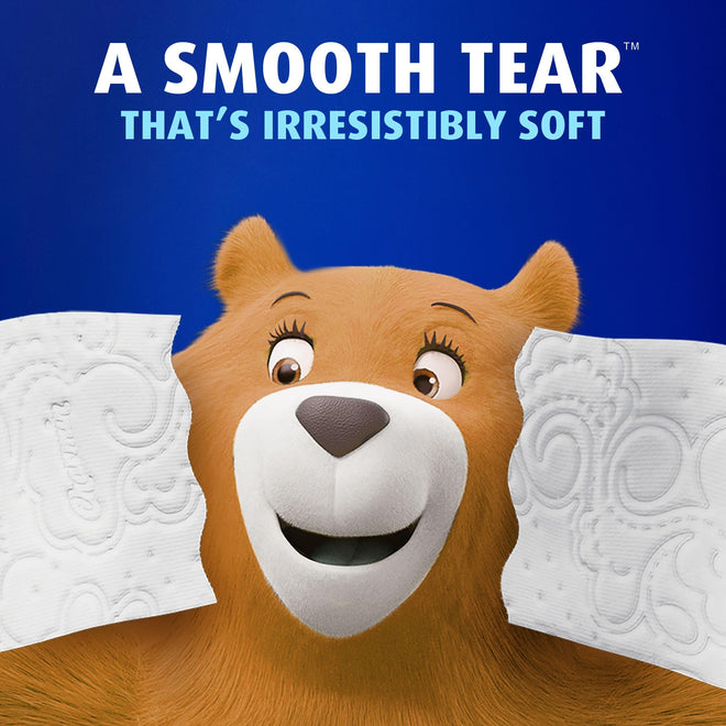 Charmin Toilet Paper Ultra Soft, 24 Mega Rolls = 96 Regular Rolls 🍁 All In One Marketplace Canada