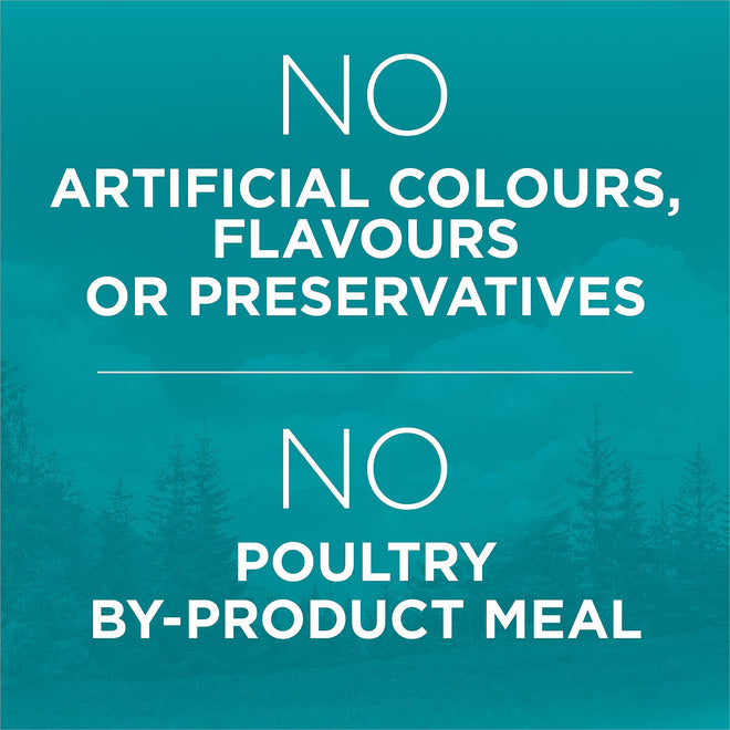 Purina ONE True Instinct Grain Free Dry Cat Food, High Protein Chicken - 6.53 kg Bag 🍁 All In One Marketplace Canada