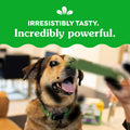 GREENIES Dog Treats Original Large Natural Dental Care, (34 Treats) 54oz. Pack 🍁 All In One Marketplace Canada