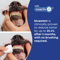 bluestem Cat and Dog Toothpaste – Scientifically Formulated Coactiv+ Pet Toothpaste Helps Reduce Plaque & Tartar, Freshens Breath, and Promotes Daily Dog and Cat Oral Care – Chicken Flavor (70g) 🍁 All In One Marketplace Canada