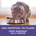 Purina ONE +Plus Dry Cat Food, Hairball Formula Chicken - 3 kg Bag 🍁 All In One Marketplace Canada