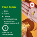 Organika Canadian-Made Bloat Relief- Helps Relieve Bloating and Flatulence- Herbal Blend of Sweet Fennel, Turmeric, and Milk Thistle- Digestive Support- 120vcaps 🍁 All In One Marketplace Canada