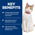 Hill's Science Diet Senior 7+ Healthy Cuisine Canned Cat Food, Roasted Chicken & Rice Medley, 2.8 oz, 24 Pack Wet cat Food 🍁 All In One Marketplace Canada