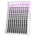 VEYESBEAUTY Lash Clusters Eyelashes Cluster Lashes Extensions Newbie's Five-Second Layered Eyelash Clusters False Eyelashes Wispy Mixed Length Fluffy(Manga, 8-16mm) 🍁 All In One Marketplace Canada