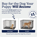 MidWest Homes for Pets 22-Inch iCrate for Extra-Small Breeds, Up to 15 lbs, Single Door Folding Dog Crate with Divider Panel, Leak-Proof Tray & Secure Latch, Portable, Durable & Easy to Assemble 🍁 All In One Marketplace Canada