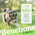 Benebone 3-Pack Wishbone Dog Chew Toy for Aggressive Chewers, Medium 🍁 All In One Marketplace Canada