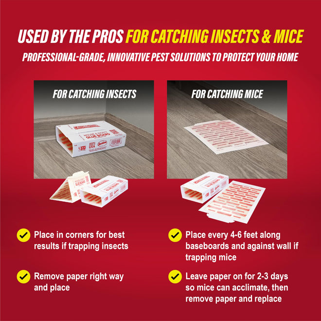 Catchmaster Mouse & Insect Glue Boards 60pk, Mouse Traps Indoor for Home, Adhesive Bug Catcher, Rat & Rodent Sticky Trap, Bulk Glue Traps Used by Pros, Pest Control for Home 🍁 All In One Marketplace Canada