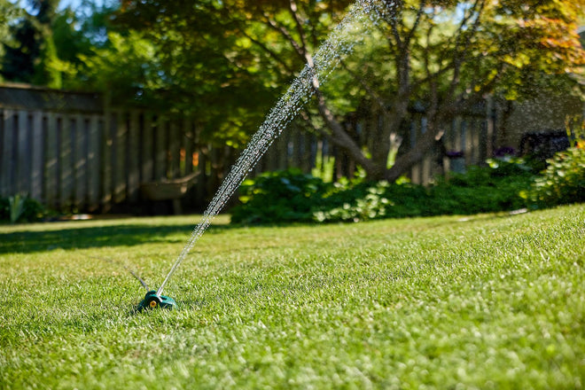 Scotts Turf Builder Grass Seed Sunny Areas Mix, 1kg (246 sq Meters / 2,648 sq feet Coverage) | Formula for overseeding or Growing a new, Thick Lawn in Sunny Areas 🍁 All In One Marketplace Canada