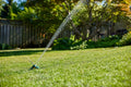 Scotts Turf Builder Grass Seed All Purpose Mix, 5kg (1,230 sq Meters / 13,239 sq feet Coverage) | Sun & Shade Formula to overseed or to Grow a new Thick, Lawn 🍁 All In One Marketplace Canada