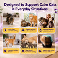 TopSum Cat Pheromone Diffuser: Cat Calming Diffuser for Spraying, Scratching, Excessive Meowing & Multi-Cat Homes, Ideal for Cats Alone at Home - VHP Registered NN.Z4H1 (2 Diffusers+2 Refills) 🍁 All In One Marketplace Canada