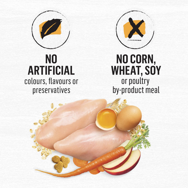 Beyond Dry Cat Food, Chicken & Whole Oatmeal 2.72kg 🍁 All In One Marketplace Canada