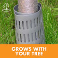 Dimex EasyFlex Plastic Tree Trunk Protectors, 6 Count, Grey (1131-6C) 🍁 All In One Marketplace Canada