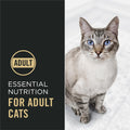 Purina Pro Plan Complete Essentials Dry Cat Food, Chicken & Rice - 3.18 kg Bag 🍁 All In One Marketplace Canada