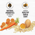 Beyond Dry Cat Food, Chicken & Whole Oatmeal 2.72kg 🍁 All In One Marketplace Canada