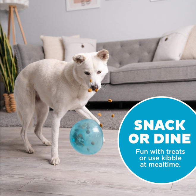 Planet Dog Orbee-Tuff Snoop Interactive Puzzle Dog Toy, Blue 🍁 All In One Marketplace Canada