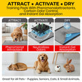 Glad for Pets XL Charcoal Training Pads for Dogs and Puppies, 50 Count 🍁 All In One Marketplace Canada