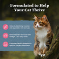 Blue Buffalo Wilderness with Salmon Natural High-Protein Grain-Free Dry Food for Adult Cats, Real Salmon First, Antioxidant-Rich LifeSource Bits Support Immunity, Promotes Strong Muscles,11 lbs. 🍁 All In One Marketplace Canada