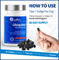 CanPrev Ubiquinol 100mg with MCT Oil, 60 Softgels, 2-Month Supply, CoQ10 Supplement for Heart & Cardiovascular Support, Enhanced Absorption, Non-GMO & Gluten Free, Coenzyme Q10 for Energy & Vitality 🍁 All In One Marketplace Canada