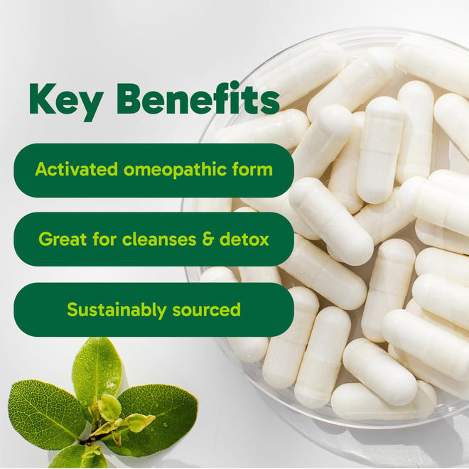 Organika Canadian-Made Activated Charcoal - Homeopathic Charcoal, Digestive Support, Detox, Gas and Bloating Support- 90vcaps 🍁 All In One Marketplace Canada