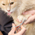 Tweezerman Dog and Cat Stainless Steel Safety Tip Grooming Scissors 🍁 All In One Marketplace Canada