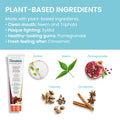 Himalaya Botanique Complete Care Toothpaste, Cinnamon, 150 g (5.29 oz) 🍁 All In One Marketplace Canada