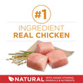 Purina ONE Dry Dog Food, Microbiome Balance Chicken & Rice - 14 kg Bag (1 Pack) 🍁 All In One Marketplace Canada