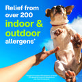 Claritin Allergy Medicine, 24-Hour Non-Drowsy Relief 10 mg, 20 Tablets 🍁 All In One Marketplace Canada