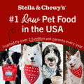 Stella & Chewy’s Freeze Dried Raw Dinner Patties – Grain Free Dog Food, Protein Rich Duck Duck Goose Recipe – 156g Bag 🍁 All In One Marketplace Canada