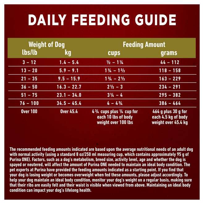 Purina ONE Dry Dog Food, Microbiome Balance Lamb & Rice - 7 kg Bag (1 Pack) 🍁 All In One Marketplace Canada