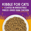 Stella & Chewy’s Raw Coated Premium Kibble Cat Food – Grain Free, Protein Rich Meals – Cage-Free Chicken Recipe – 1.13 kilograms 🍁 All In One Marketplace Canada