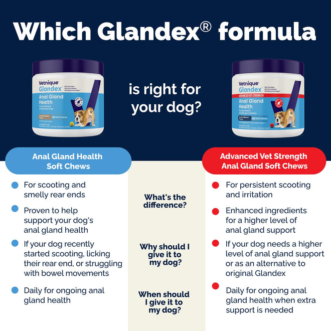 Glandex Anal Gland Soft Chew Treats with Pumpkin for Dogs Chews with Digestive Enzymes, Probiotics Fiber Supplement for Dogs – Vet Recommended - Boot The Scoot (Peanut Butter, 120ct Chews) 🍁 All In One Marketplace Canada