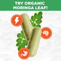 PlantVital Organic Moringa Leaf Capsules - Made in Canada - 1000mg High Potency (500mg per cap) Moringa Pure Capsules for Antioxidant, and Eye Health - Vegan, Non-GMO, Gluten Free (120 Count, 60 Days) 🍁 All In One Marketplace Canada