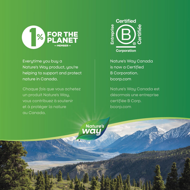 Nature’s Way Slippery Elm Bark – Traditionally Used to Soothe GI Tract Inflammation – Vegetarian, Non-GMO– 180 Capsules 🍁 All In One Marketplace Canada