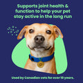 Vetoquinol Flexadin Advanced (with boswellia) – Dog Joint Supplement – One Chew a Day for Dogs - 60 Chews 🍁 All In One Marketplace Canada