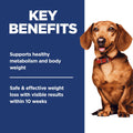 Hill's Science Diet Adult Perfect Weight Small & Mini Chicken Recipe Dry Dog Food, 5.67 kg Bag 🍁 All In One Marketplace Canada