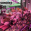 Sondiko LED Grow Light, Full Spectrum Plant Lights for Indoor Plants with Auto On Off 3/9/12H Timer, 10 Dimmable Levels, Adjustable Gooseneck, 3 Switch Modes 🍁 All In One Marketplace Canada