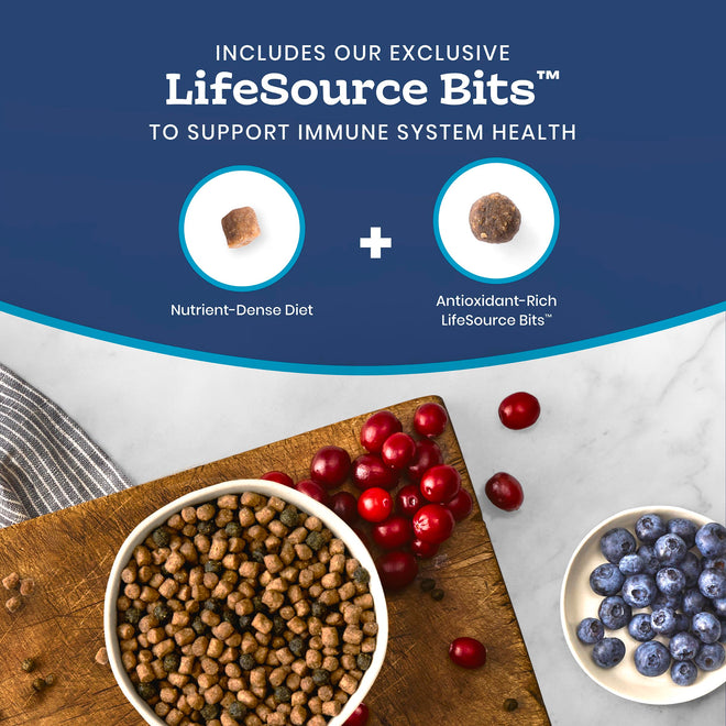 Blue Buffalo Tastefuls Salmon & Brown Rice Recipe Dry Indoor Cat Food for Adult Cats, Real Salmon First, Deliciously Healthy Natural Cat Food, Supports Digestive Care and Coat Health, 3.1kg Bag 🍁 All In One Marketplace Canada