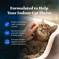 Blue Buffalo Wilderness Chicken Natural High-Protein Grain-Free Dry Food for Adult Indoor Cats, Real Chicken First, Antioxidant-Rich LifeSource Bits Support Immunity, Promotes Strong Muscles, 5 lbs. 🍁 All In One Marketplace Canada