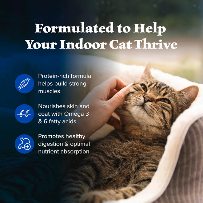 Blue Buffalo Wilderness Chicken Natural High-Protein Grain-Free Dry Food for Adult Indoor Cats, Real Chicken First, Antioxidant-Rich LifeSource Bits Support Immunity, Promotes Strong Muscles, 5 lbs. 🍁 All In One Marketplace Canada