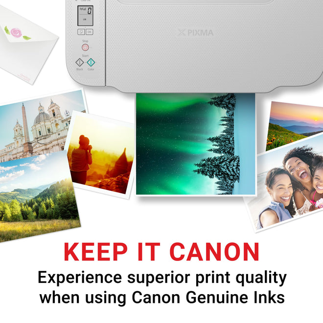 Canon Genuine PG-260XL Black Ink Cartridge, High Yield, Compatible with PIXMA TS5320, TS6420, TS6420a, TR7020, TR7020a 🍁 All In One Marketplace Canada