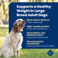 Blue Buffalo Life Protection Formula Chicken & Brown Rice Healthy Weight Large Breed Adult Dry Dog Food, Supports Immunity with LifeSource Bits, Promotes Healthy Lean Muscles,11.7kg/26 lbs 🍁 All In One Marketplace Canada