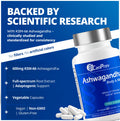 CanPrev Ashwagandha 600mg Vegan 60 Capsules 60-Day Supply - Vegan & Non-GMO - Organic KSM-66 Formula for Enhanced Relaxation & Energy, Sleep Support, Memory Boost - Supplement for Weight Management 🍁 All In One Marketplace Canada