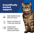 Hill's Science Diet Adult Sensitive Stomach & Skin Chicken & Rice Recipe Dry Cat Food 7.03 kg Bag 🍁 All In One Marketplace Canada