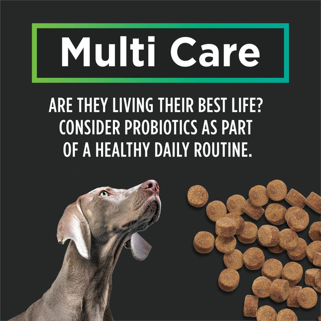 Purina Pro Plan Veterinary Supplements, Mutli Care Dog Chew Probiotic - 150 g (30 Chews) 🍁 All In One Marketplace Canada