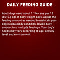 Purina ONE Wet Dog Food, Tender Cuts in Gravy Lamb & Rice 368g (12 Pack) 🍁 All In One Marketplace Canada
