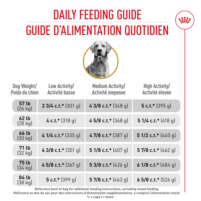 Royal Canin Golden Retriever Adult Dry Dog Food, 30 lb bag 🍁 All In One Marketplace Canada