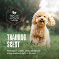 Puppy Pads Pet Pee Pads for Dogs & Puppy Training - 100 Count - Potty Pads for Dogs 22" x 22" Leak-Proof Dog Pee Pads - Quick-Dry Surface - Heavy Duty Absorbent Disposable Dog Wee Pad Bulk Pack 🍁 All In One Marketplace Canada