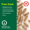 Organika Beef Liver Plus Choline- Sourced from Grass-Fed + Finished Cattle, Pasture Raised, High in Vitamins and Minerals, Supports Liver Function, Energy Levels, and Immunity- 90caps 🍁 All In One Marketplace Canada