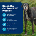 Blue Buffalo Life Protection Formula Lamb & Brown Rice Large Breed Adult Dry Dog Food, Supports Immunity with Antioxidant-Rich LifeSource Bits, Promotes Healthy Muscles, 11.7kg/26lbs 🍁 All In One Marketplace Canada