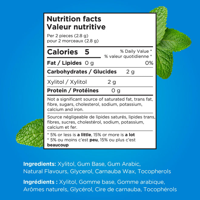 PUR Gum | Aspartame Free Chewing Gum | 100% Xylitol | Natural Peppermint Flavoured Gum, 55 Pieces (Pack of 6) 🍁 All In One Marketplace Canada